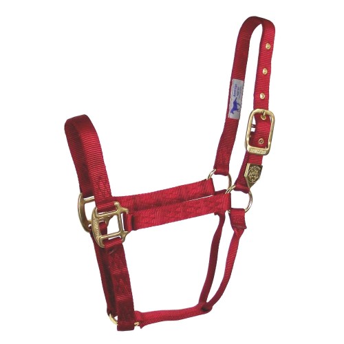 ראשיית בית - HLPRO