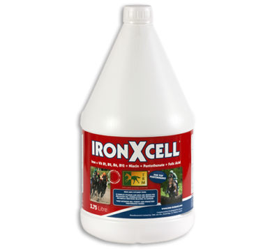 ايرون اكس سيل 3.75 لتر