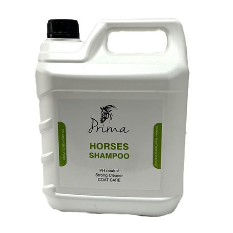 شامبو بريما 4 لتر